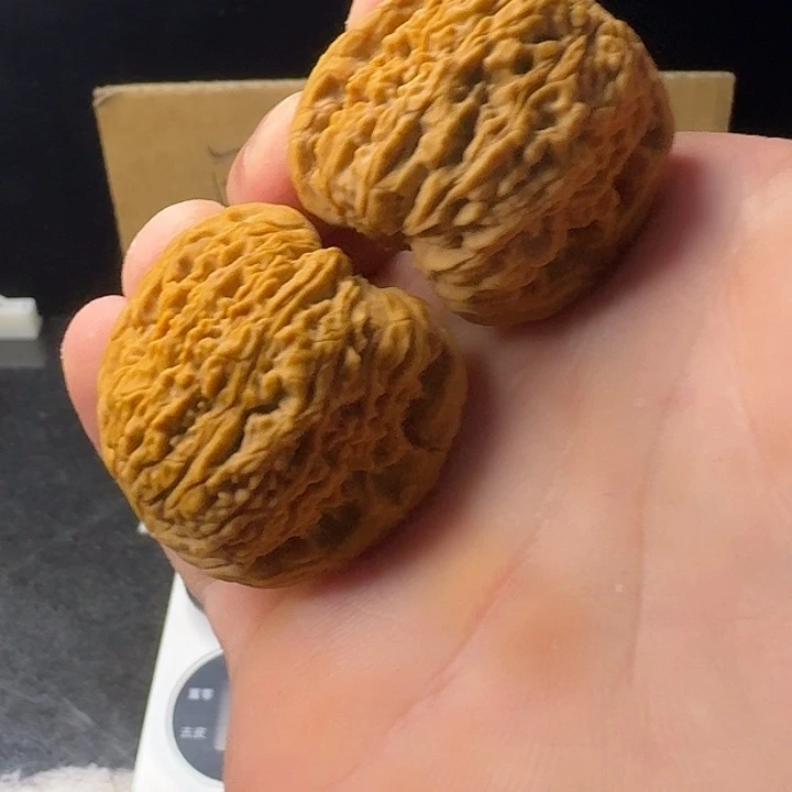 把件文玩核桃姜黄皮拉丝