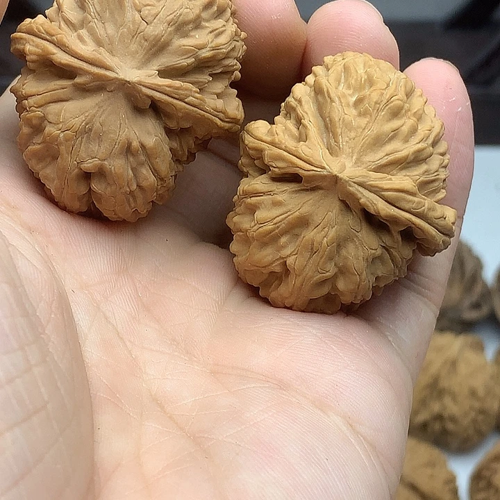 文玩核桃吊坠41白狮子腰子