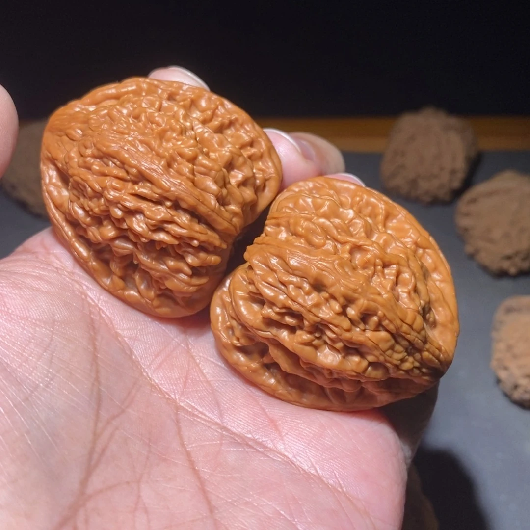 ゛***天菩提籽类41.5虎头王