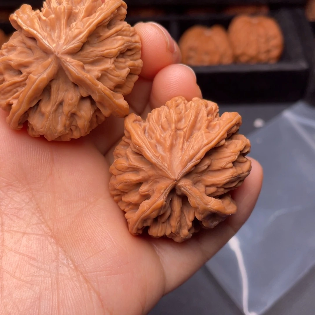 秦岭山脉文玩核桃