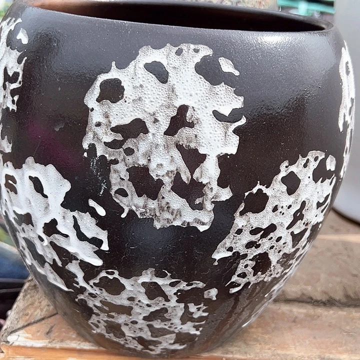 口20.5高24。。。。。。。。。。。。。。