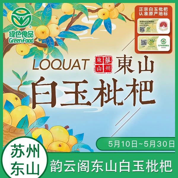韵云阁【中大果】东山新鲜白玉枇杷84颗礼盒装顺丰江浙沪包邮