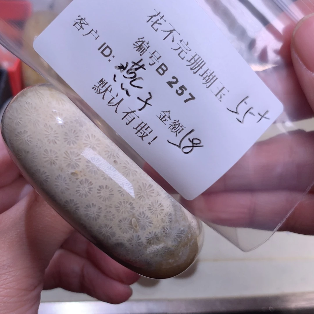 硅化玉颈饰未镶嵌燕*