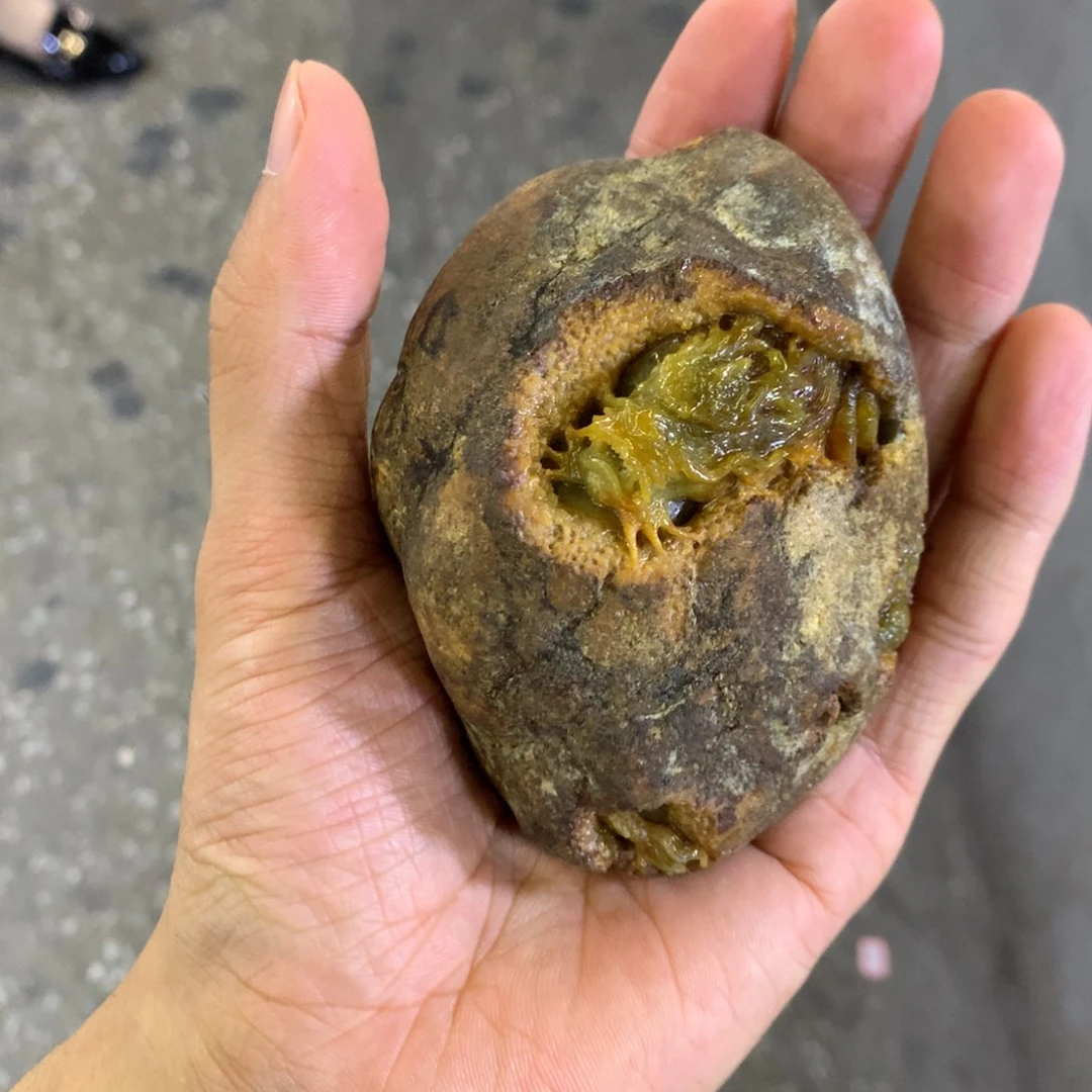 未镶嵌把件翡翠奶**丁