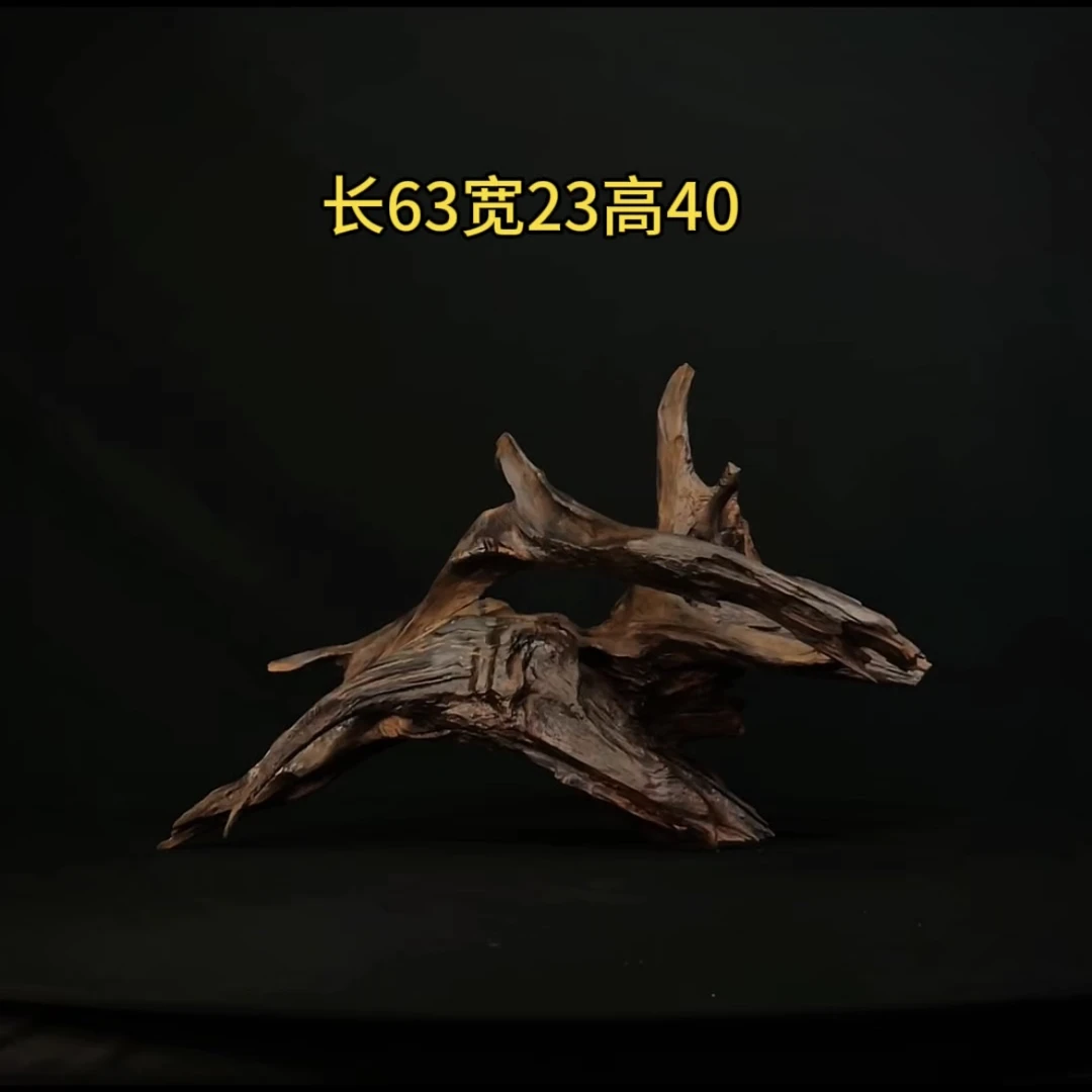 张大狼造景沉木长63cm飘枝 南美鱼缸造景 紫柚木秒沉