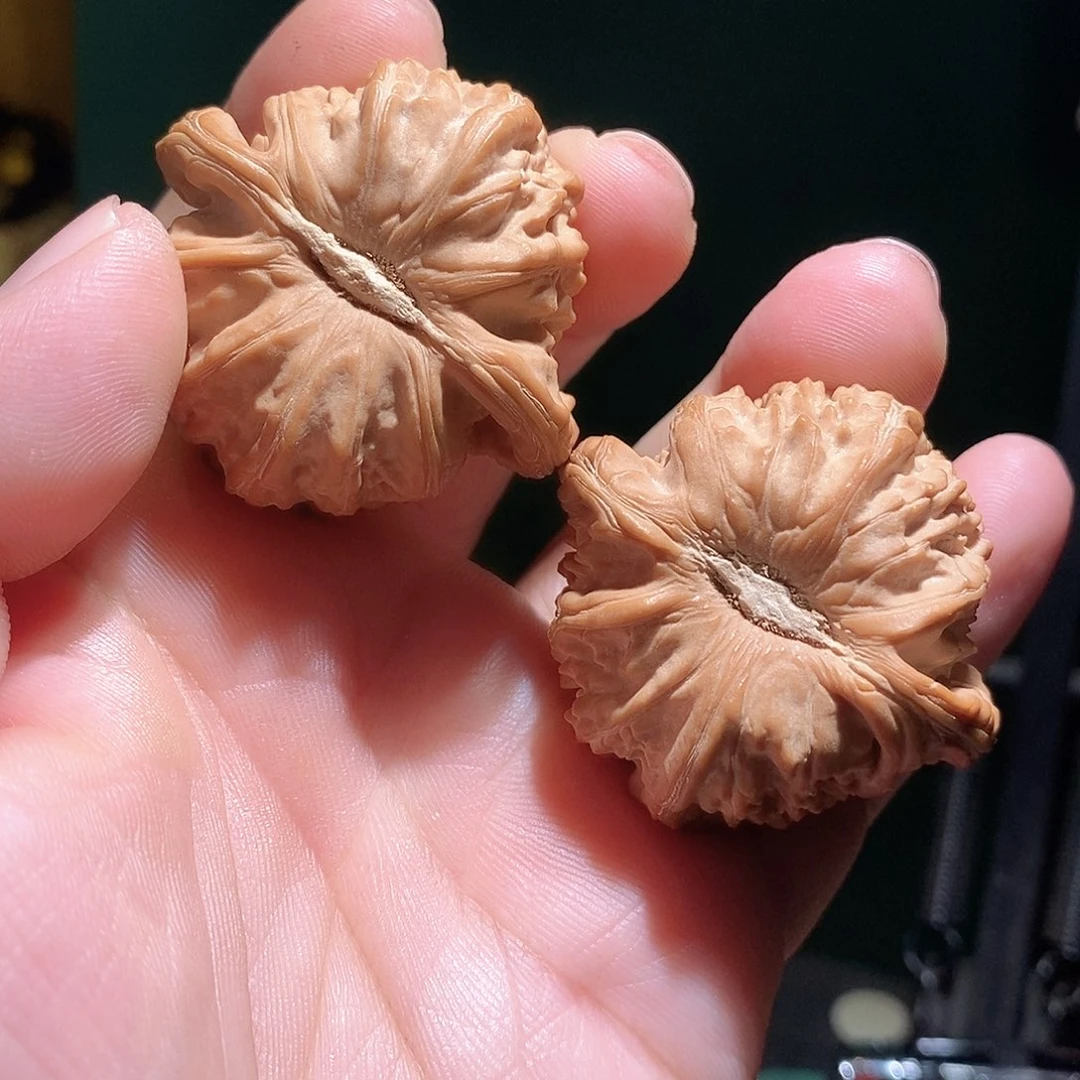 和***尘把件文玩核桃44卡姿兰白狮子全品