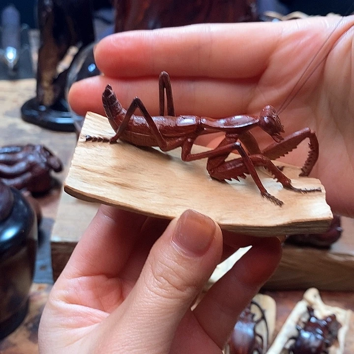 檀香紫檀（小叶紫檀）T****e