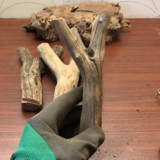 大果紫檀（缅甸花梨）风