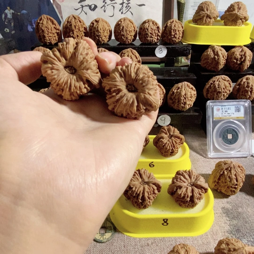 天***蓝木质类奥迪车南疆的