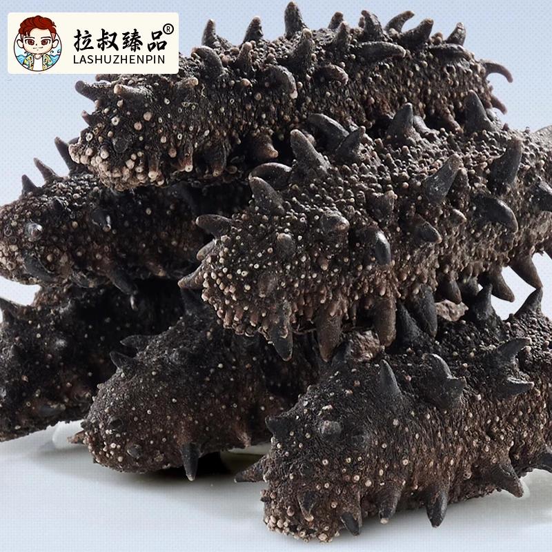 【顺德拉叔臻品】精选淡干海参500g