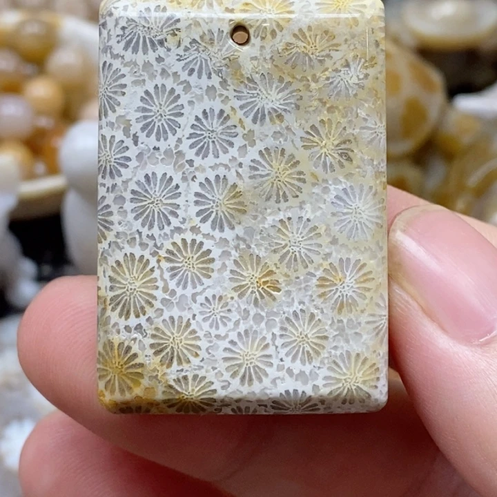 硅化珊瑚（珊瑚玉）颈饰未镶嵌有瑕