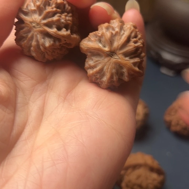 木桃和大红灯笼是真的