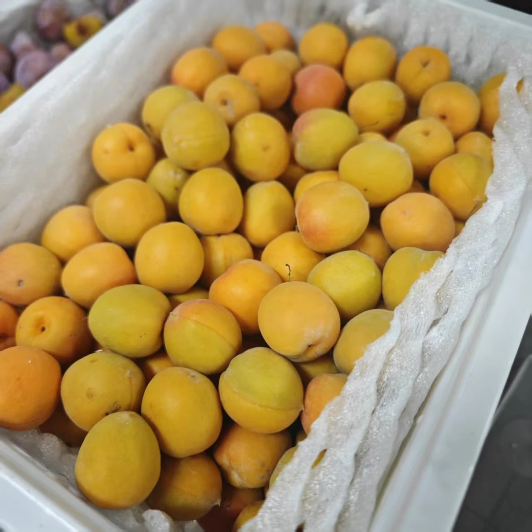 【1框】香甜的吊干杏1框 带框3-3.5斤左右 大同市平城区云冈区可拍