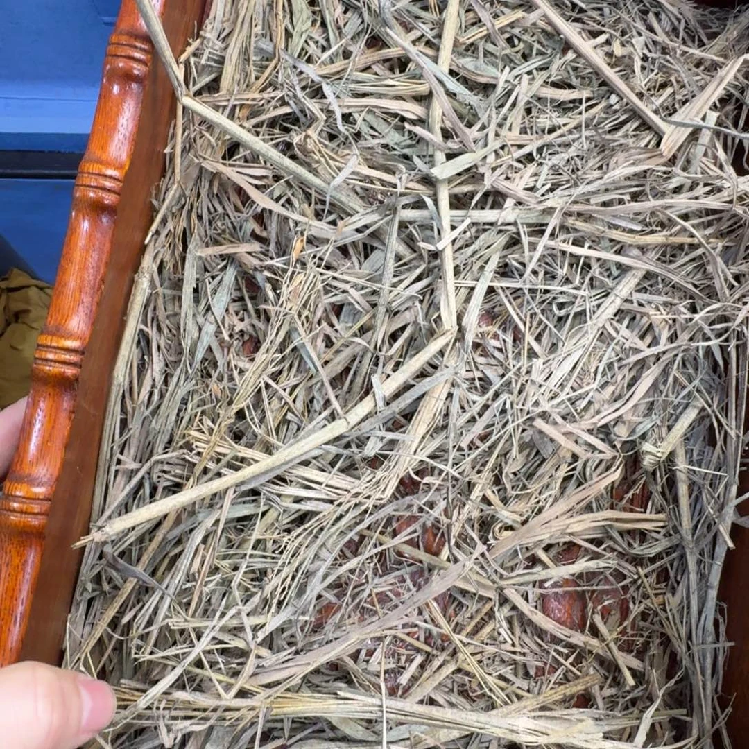 陶瓷手串，多样性发一