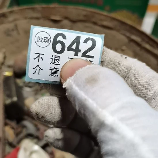 平***凡摆件摆件摆件摆件摆件