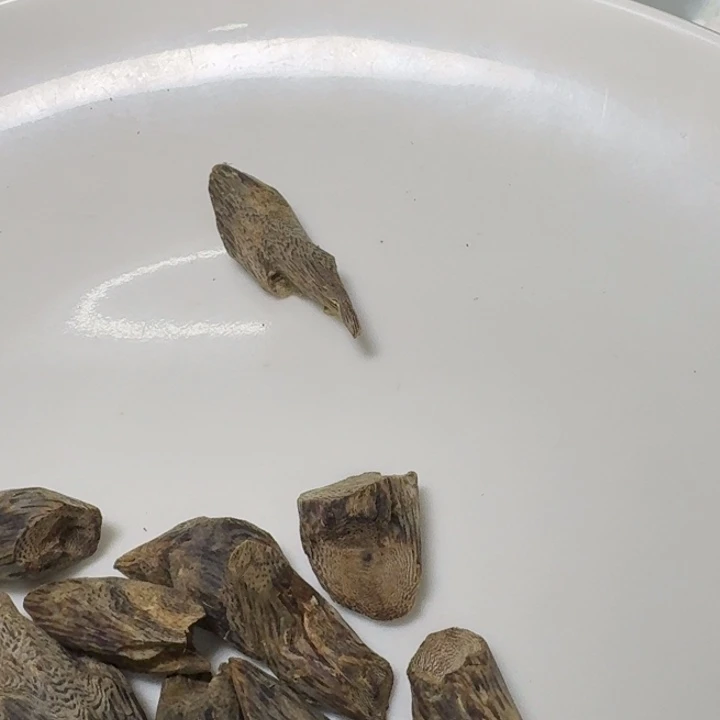 顺***为木陆河沉水树钉发一份