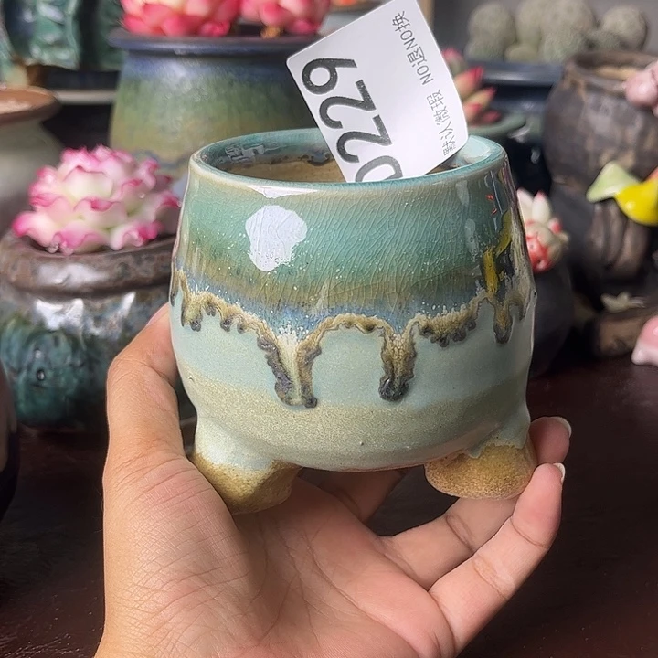 重庆小燕子欢迎大家229