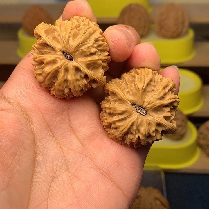 文玩核桃把件龙珠