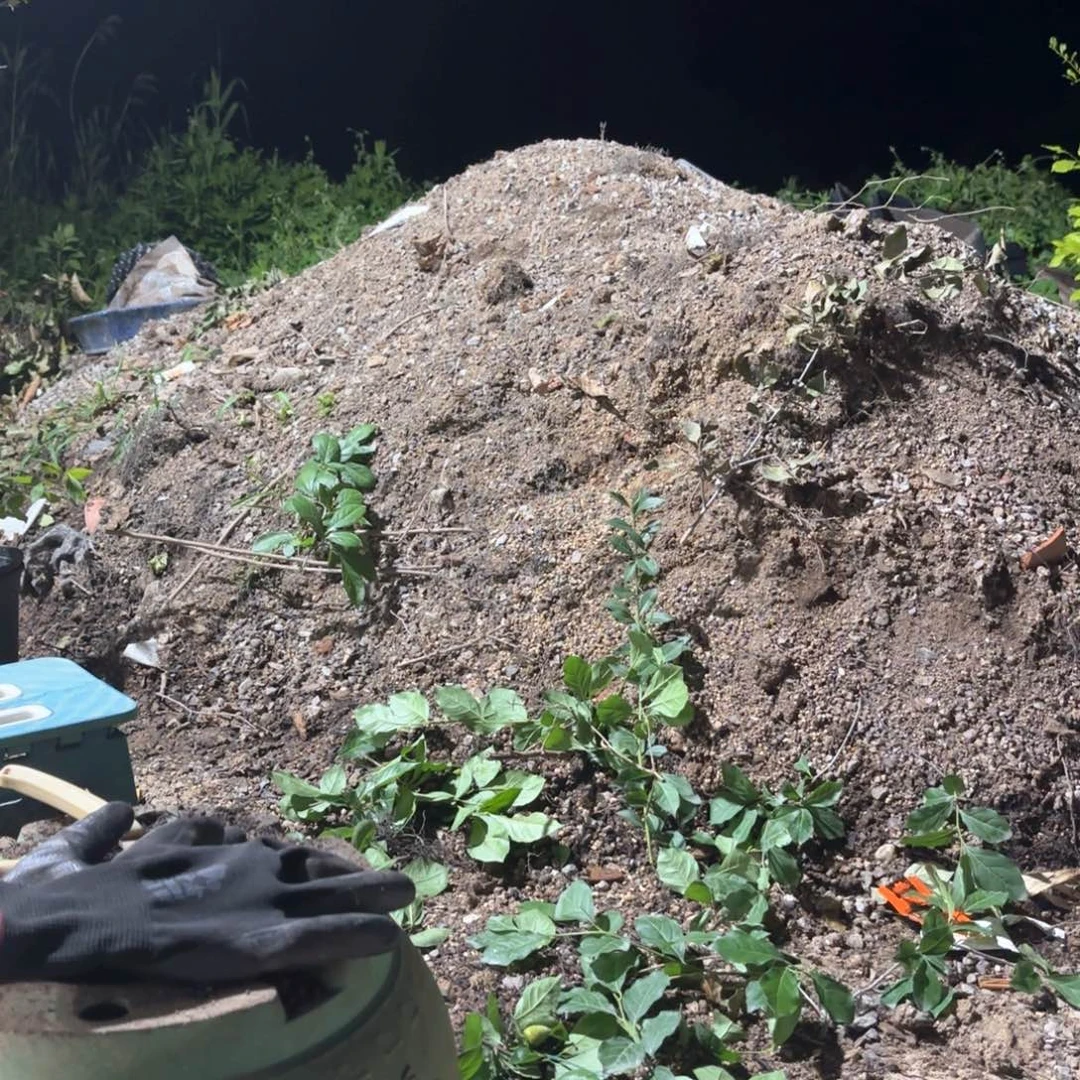 嫁接天之慧哈哈哈哈哈