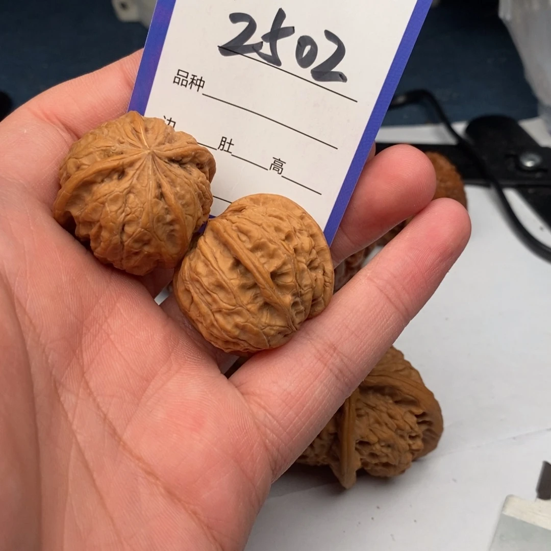 文玩核桃把件2502