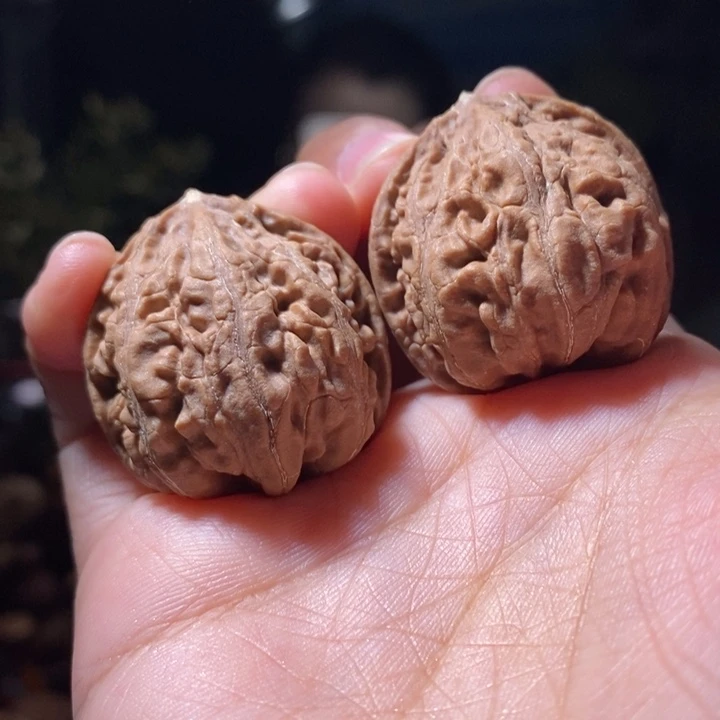 文玩核桃把件东北楸子小路5