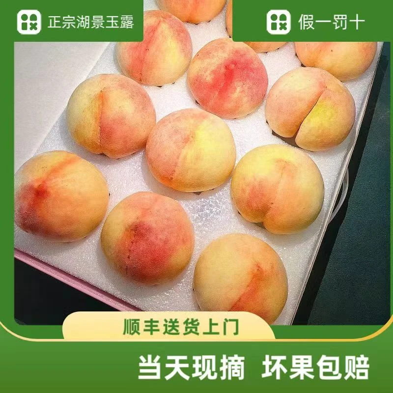 【云耕大堰】限时限量正宗奉化水蜜桃5斤礼盒箱版尝鲜装果园现采现发24H顺丰送货上门浙江省