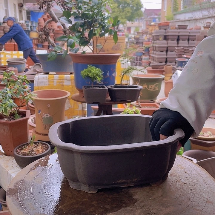 紫砂宜兴紫砂海棠30