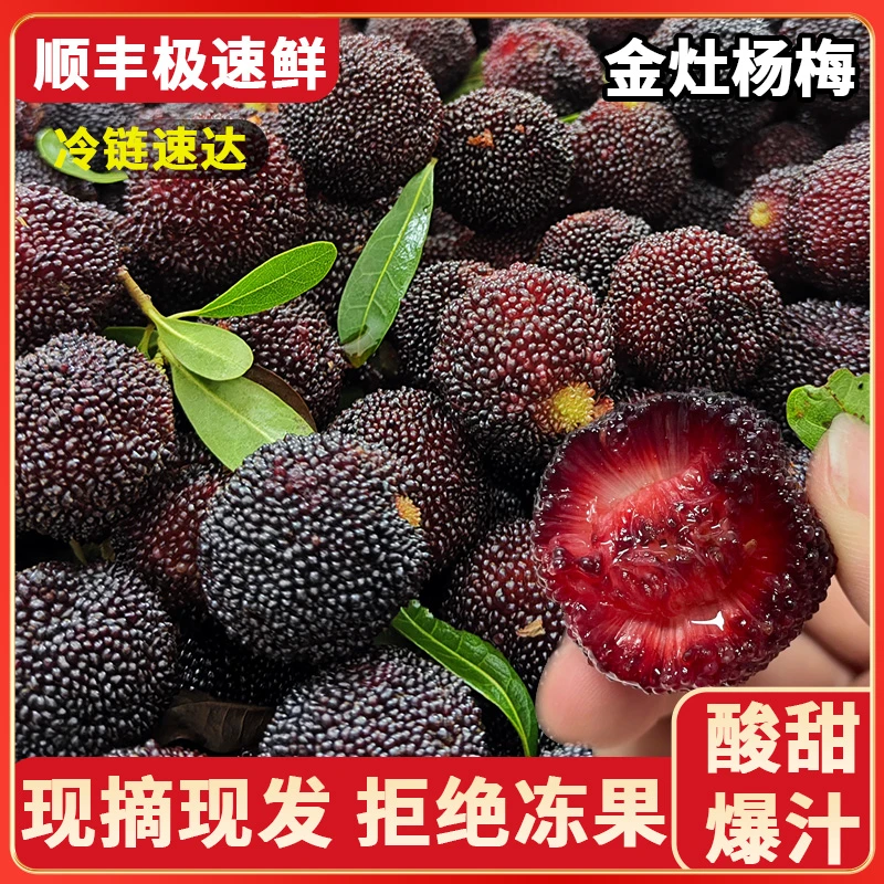 潮汕大妈金灶软丝杨梅新鲜现摘中大果水果杨梅2斤包邮