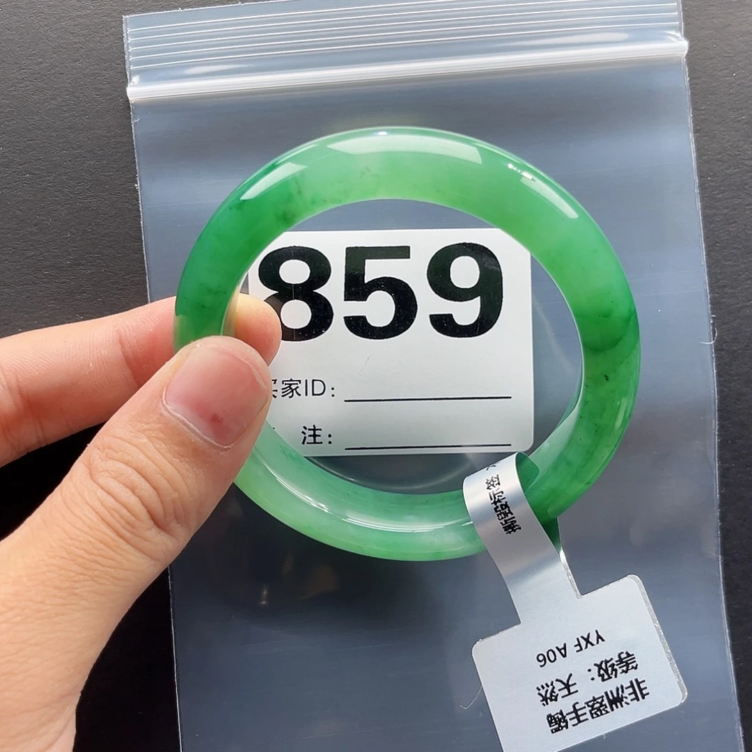 未镶嵌手镯石英质玉（非洲翠）56圈口859