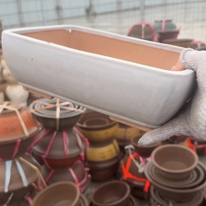 紫砂杯及红陶瓷茶壶都能给大家