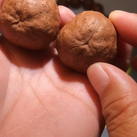 文玩核桃把件南瓜金刚菩提