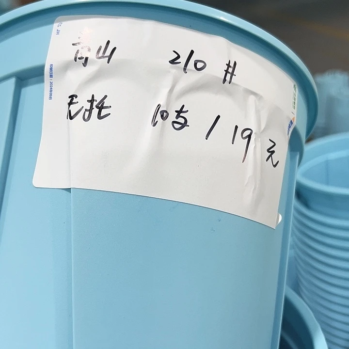 特价青山口21高21蓝色无托10只