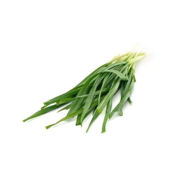 韭菜约300g±10g/份绿色蔬菜