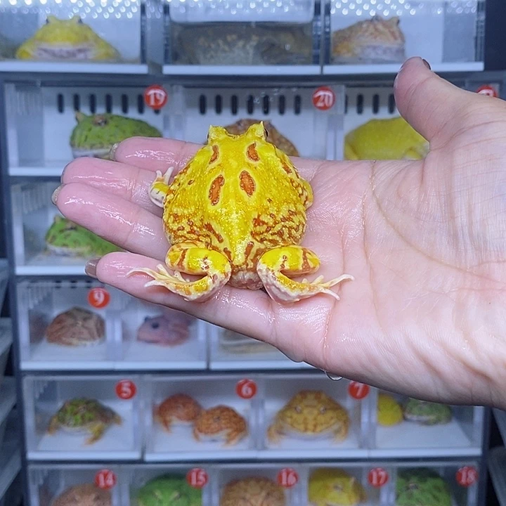 特价秒杀现货特价残