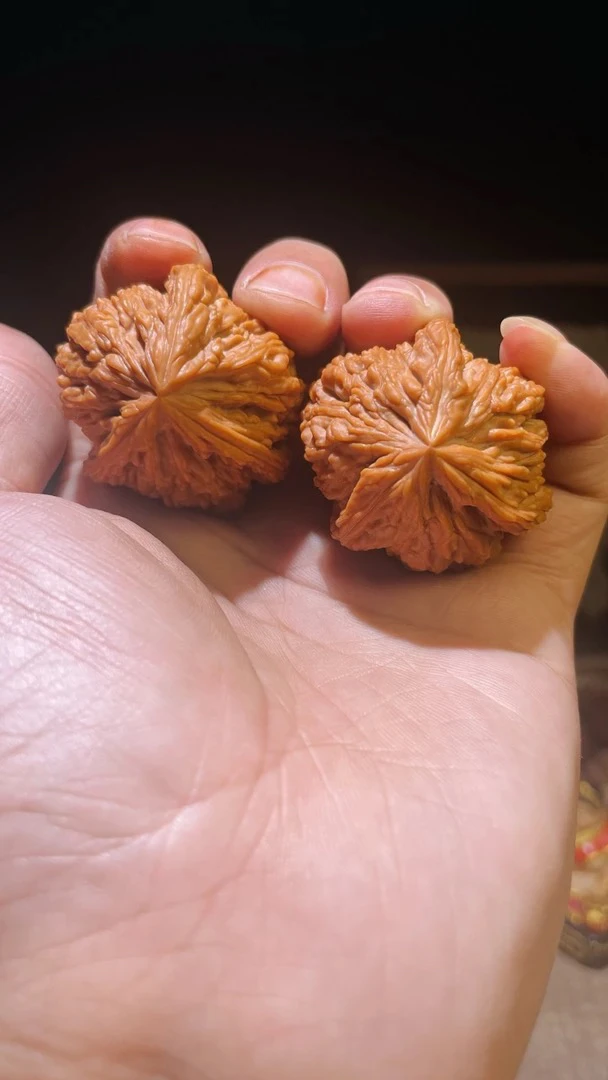 涿鹿一代山地南将石