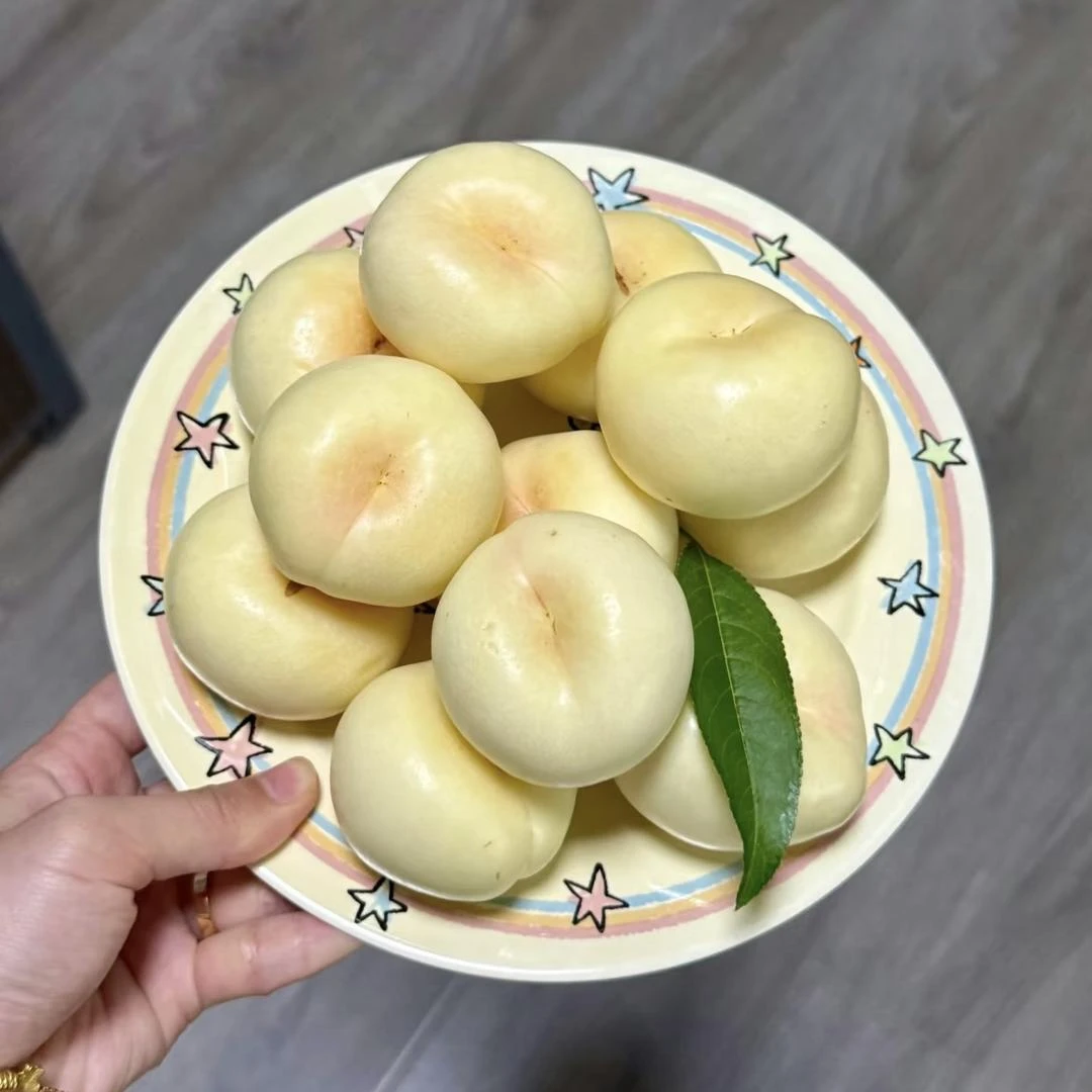 【山东奶油白蟠桃】蒙阴山区种植蒙阴桃子时令新鲜水果脆甜薄皮油桃
