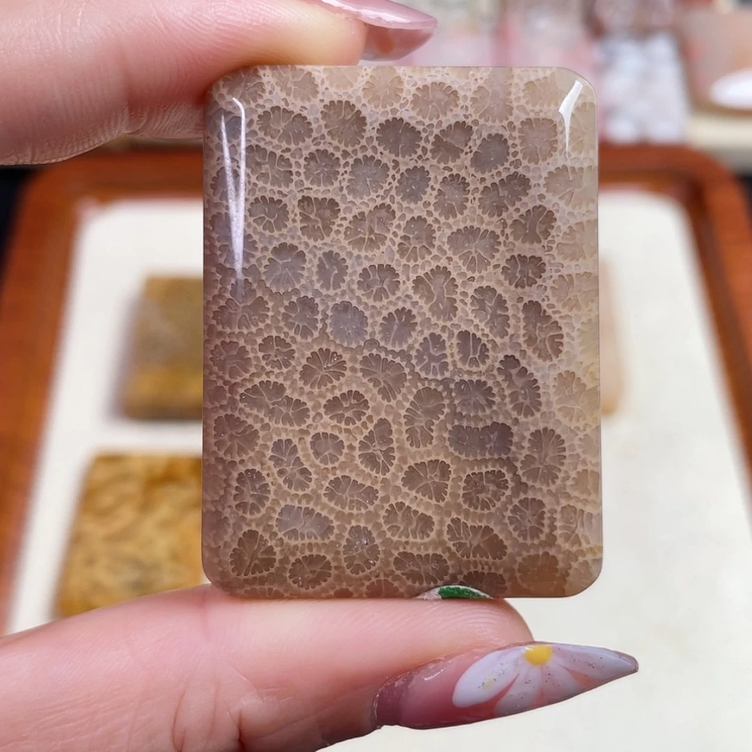 【闪购商品】硅化玉吊坠(赠链)未镶嵌