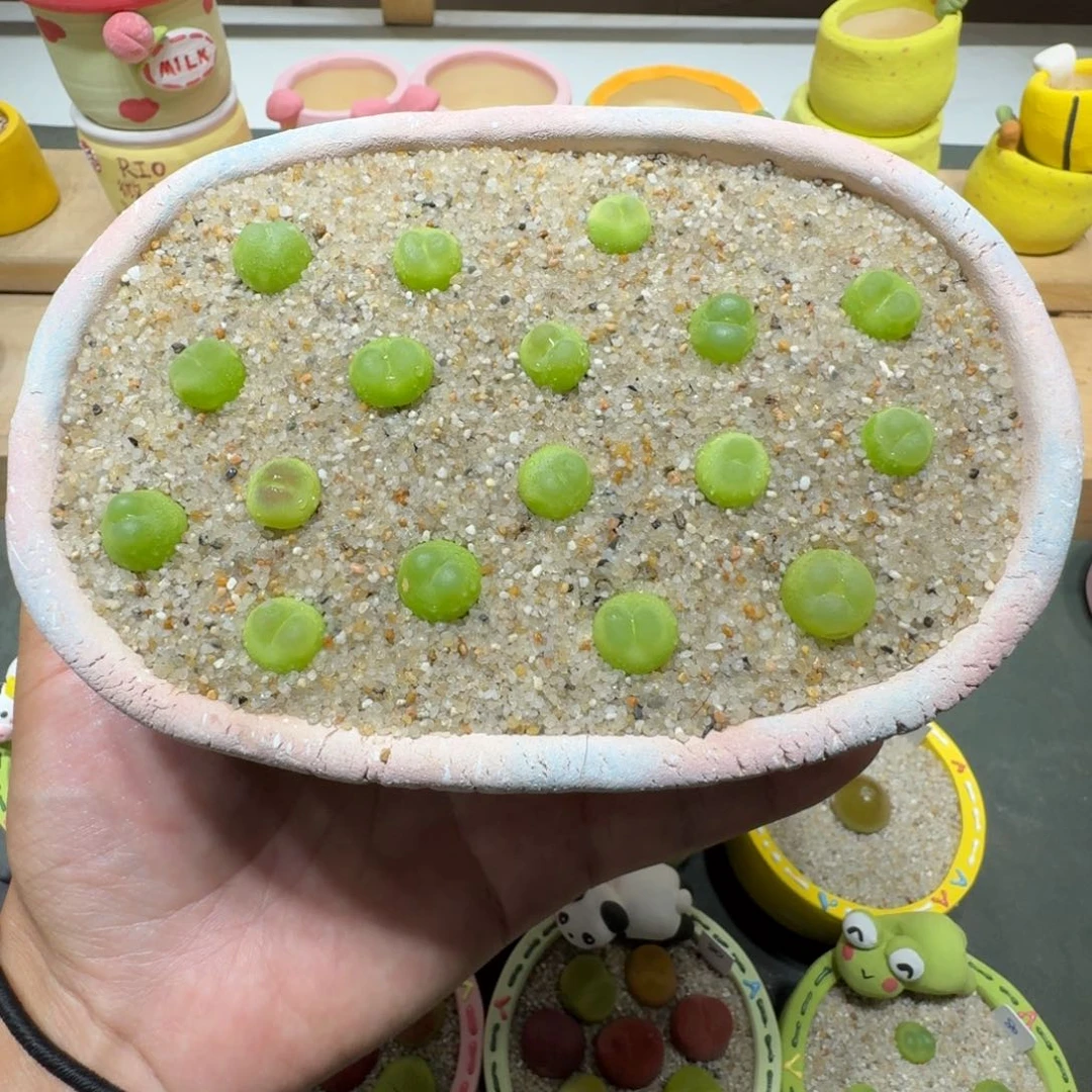 无****?蘑菇221拉登拉登