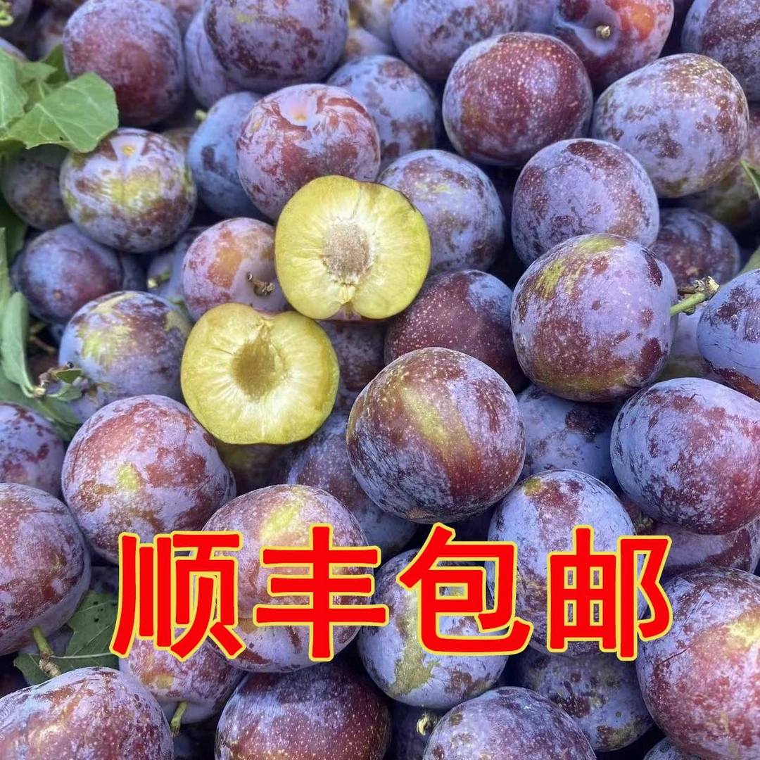 【顺丰包邮】竹山本地文峰脆红李新鲜现摘应季水果