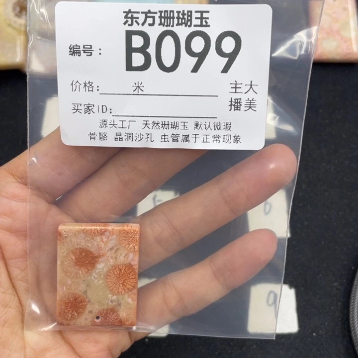 硅化珊瑚（珊瑚玉）颈饰合金?*安