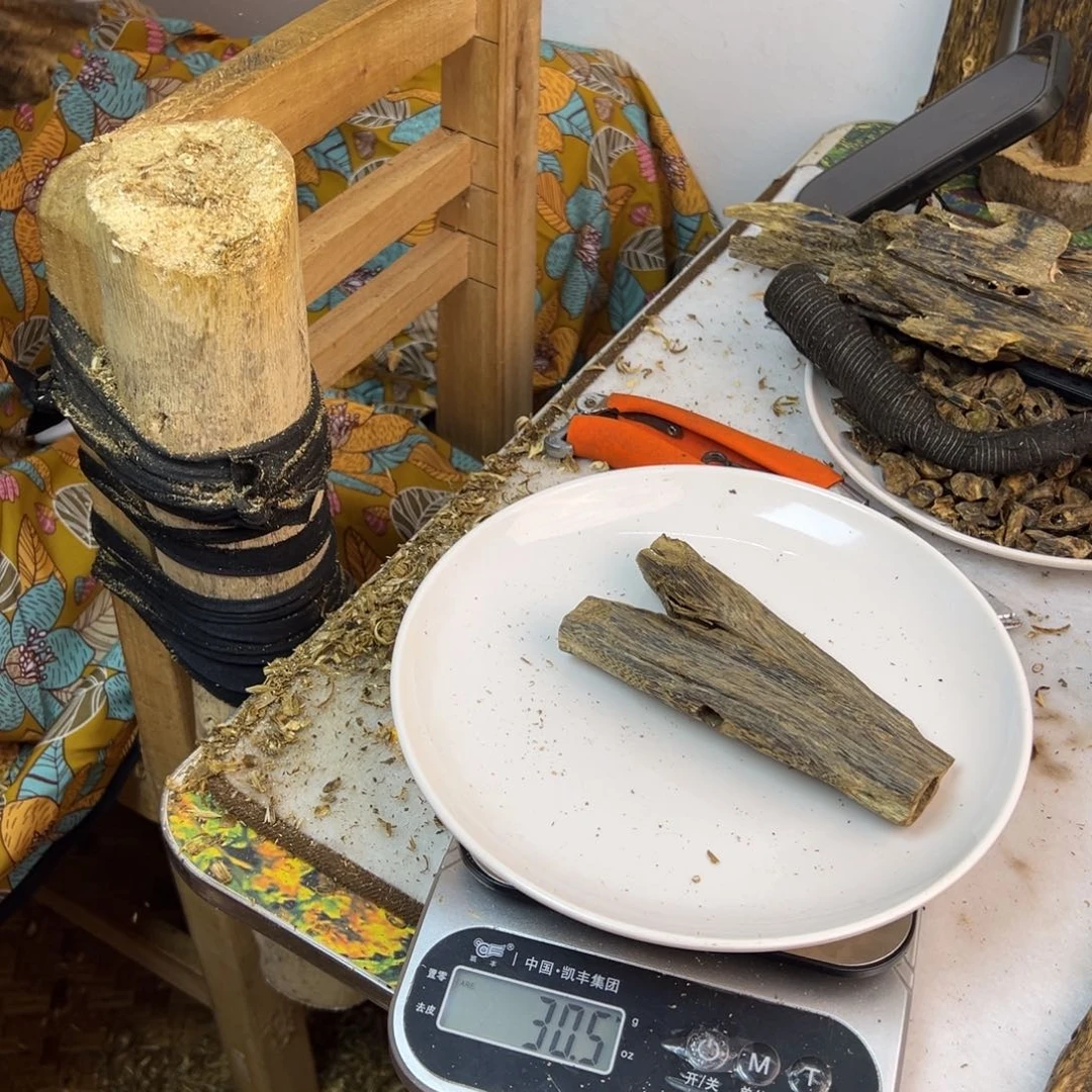 线香奇楠虫漏香30克