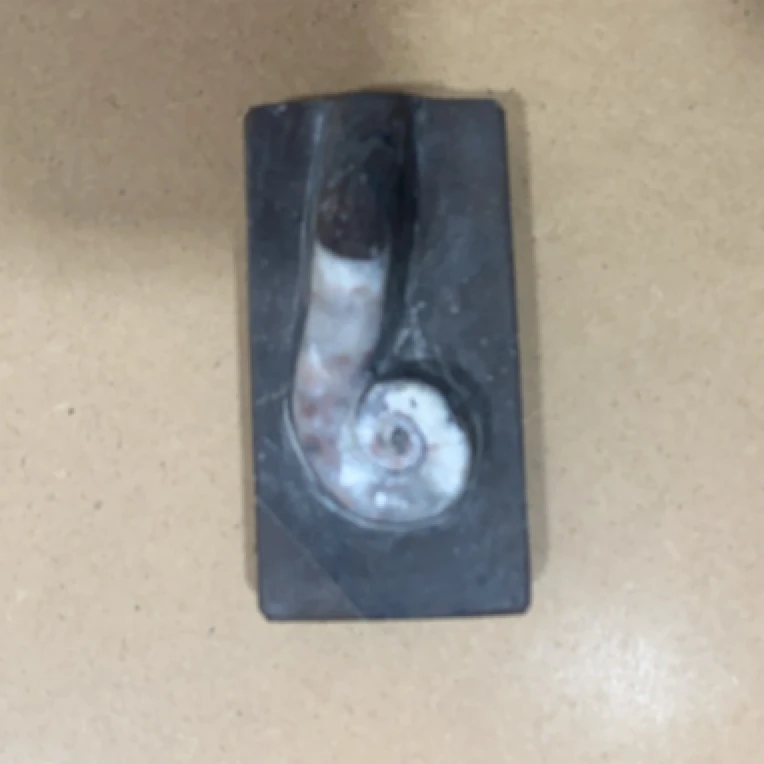 摆件相框装裱链接01