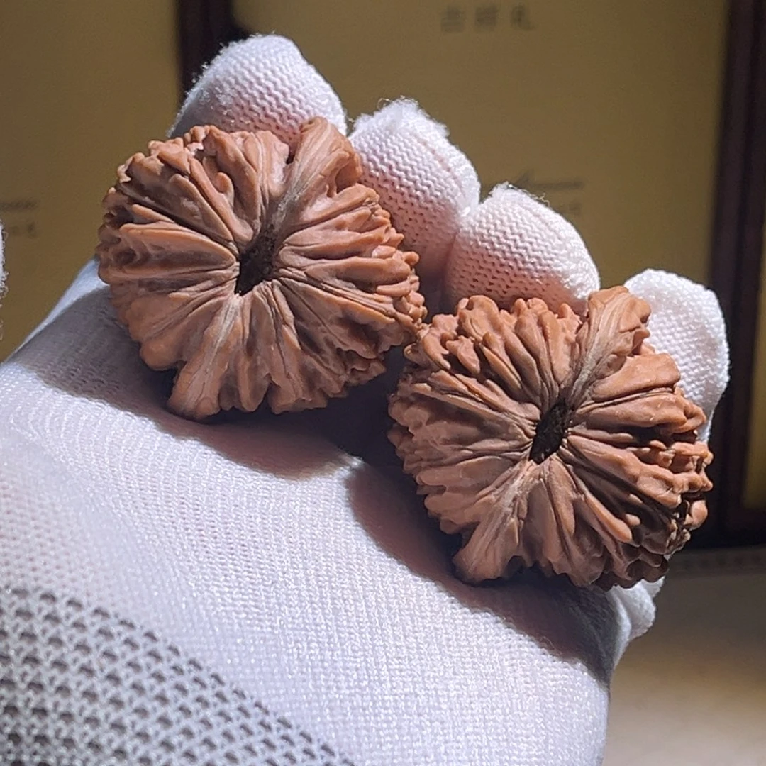 阿***昱全品42极品楼子。全哦。
