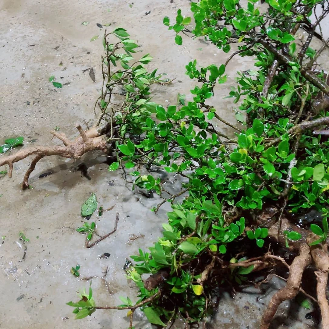 齐***齐完全开放1111111111