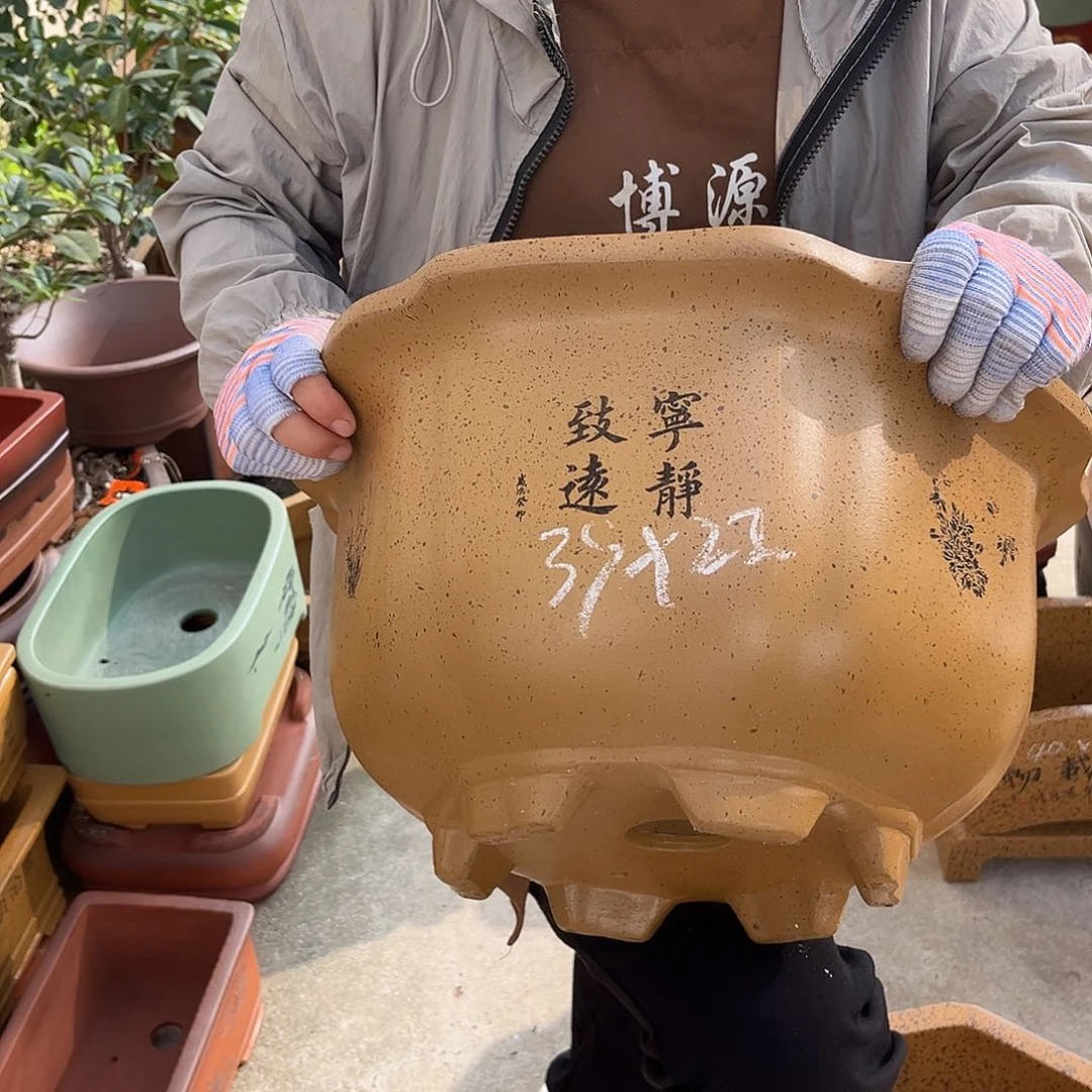 紫砂花盆盆景艺术