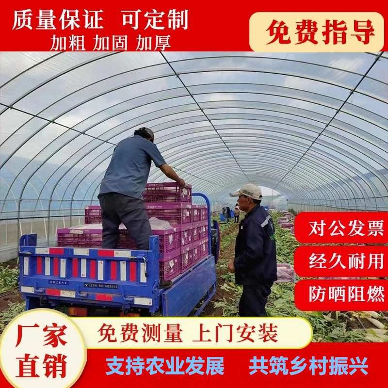 大棚钢管骨架蔬菜种植大棚养猪牛羊大棚养鸡棚养殖温室大棚全套