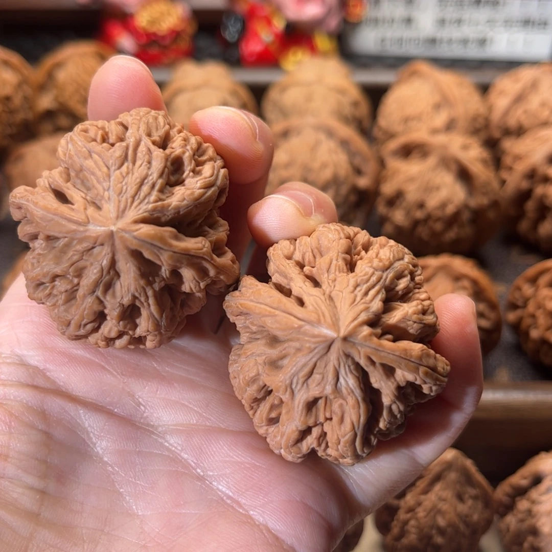 核桃全品大粗筋39+