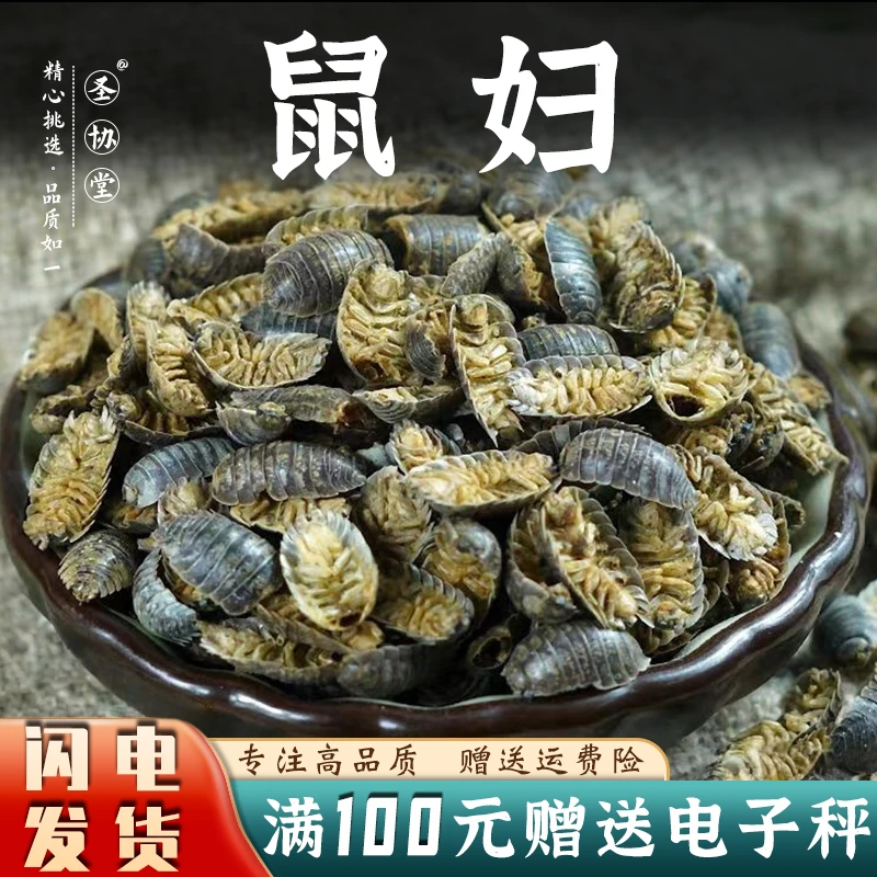 鼠妇中药材鼠妇虫潮虫西瓜虫潮湿虫潮虫子地虱婆非活虫体晒干新货