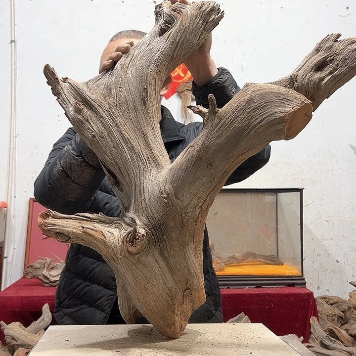 柏木《****》我们的生活也会