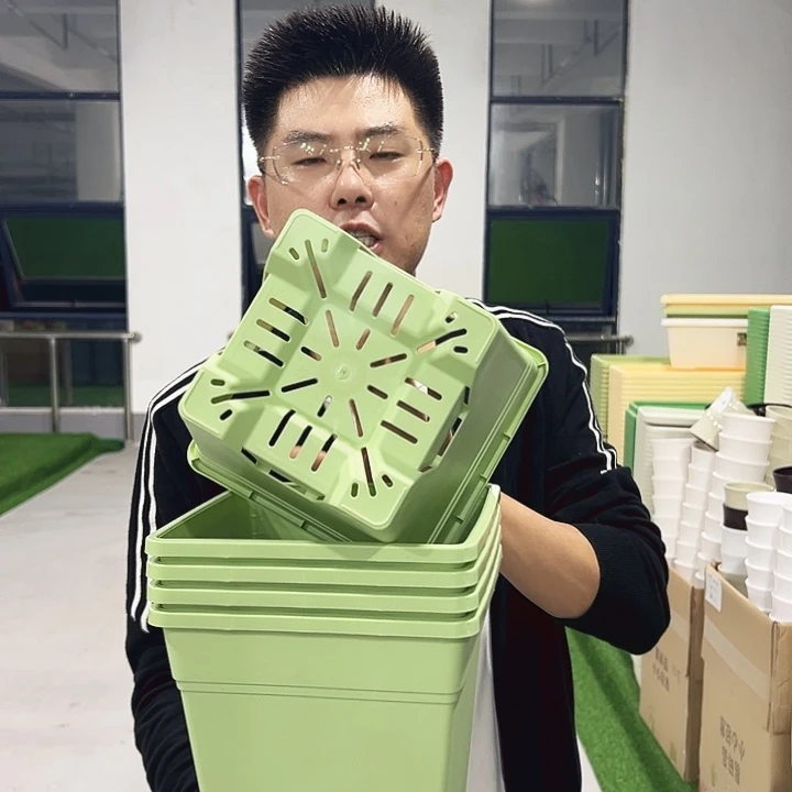 正品方盆口20高22果绿5只带托